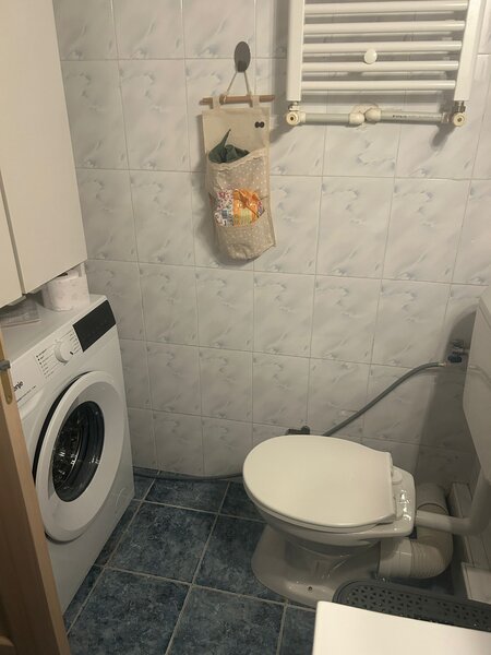 Bucur Obor, Colentina, Doamna Ghica,